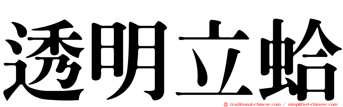 透明立蛤