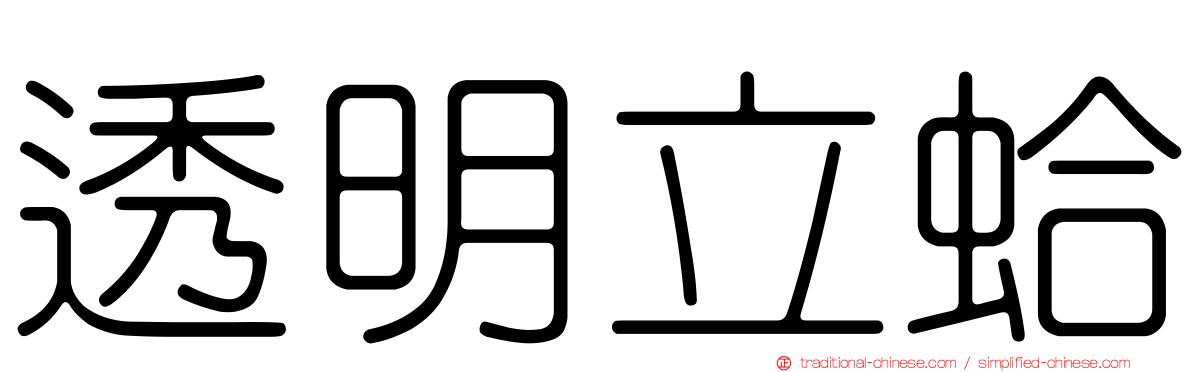 透明立蛤