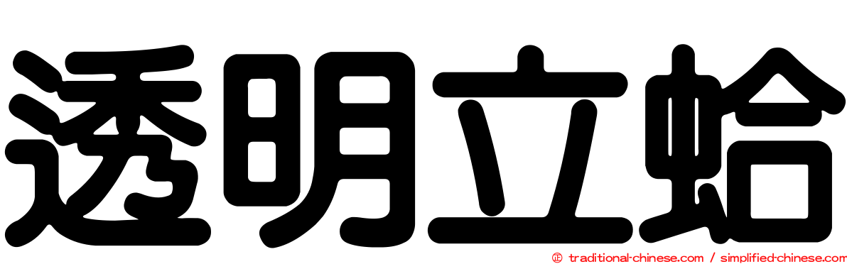 透明立蛤