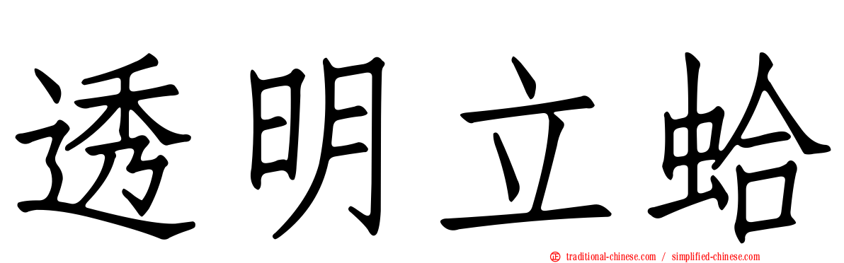 透明立蛤