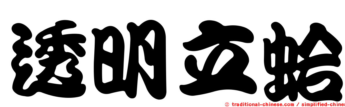 透明立蛤