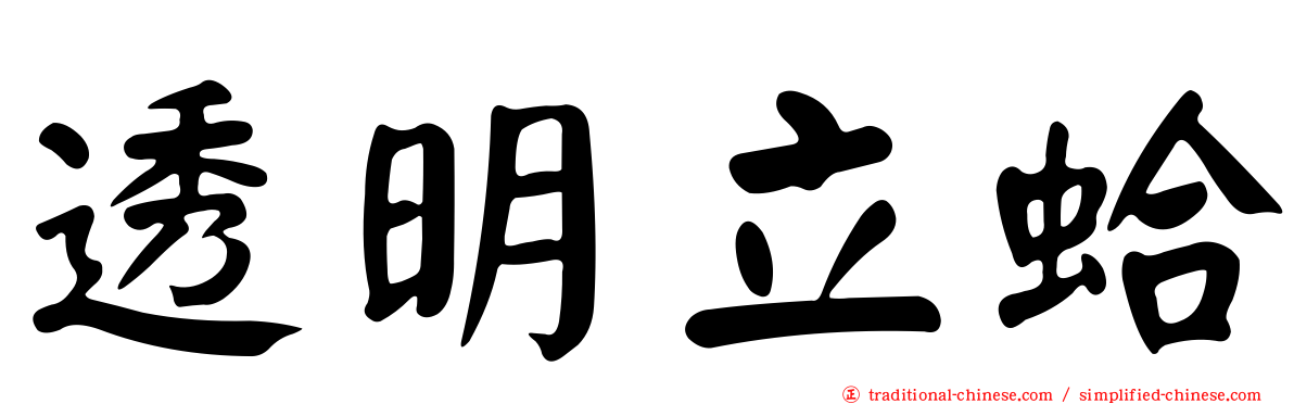 透明立蛤