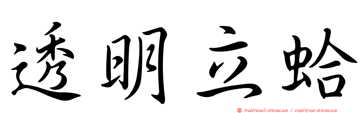 透明立蛤