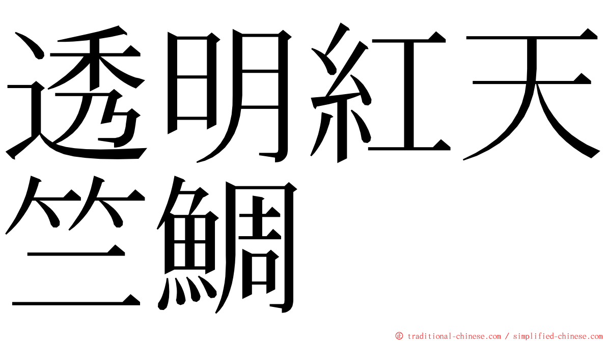 透明紅天竺鯛 ming font
