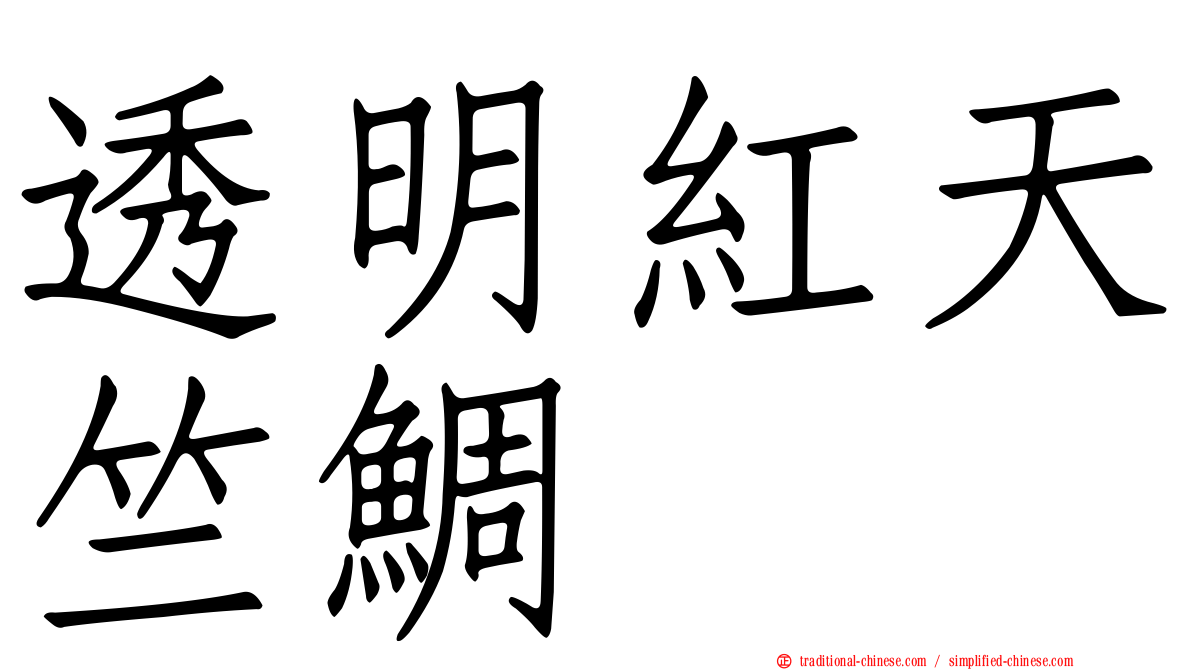 透明紅天竺鯛