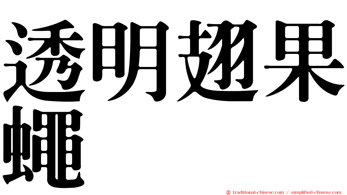 透明翅果蠅