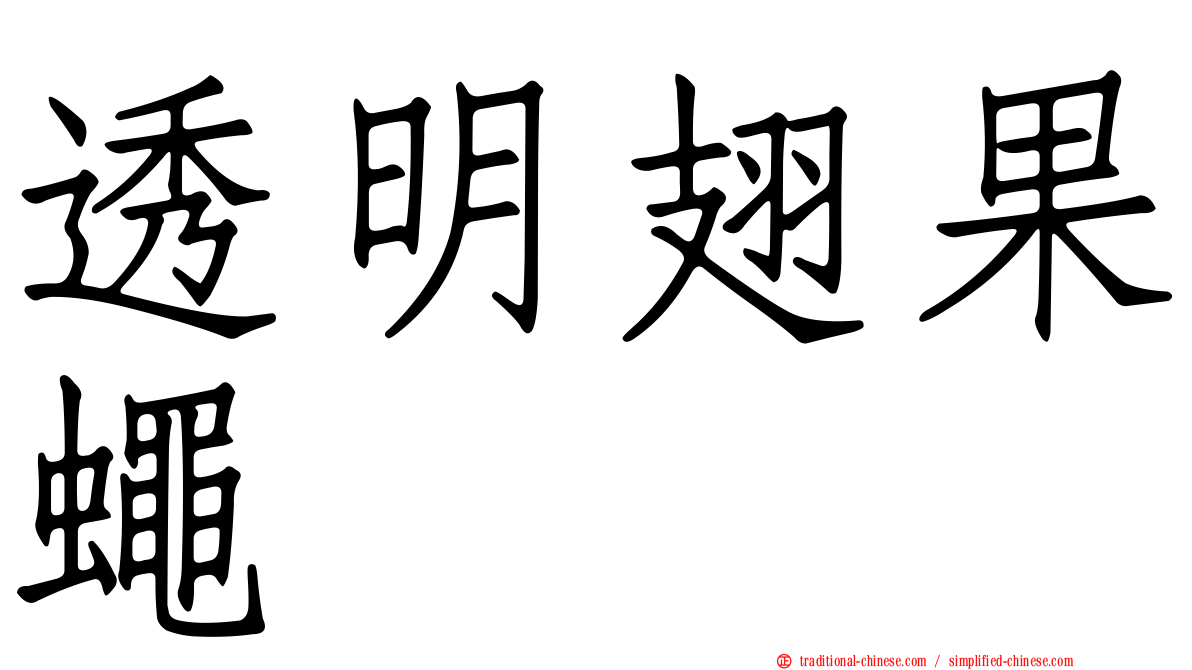 透明翅果蠅