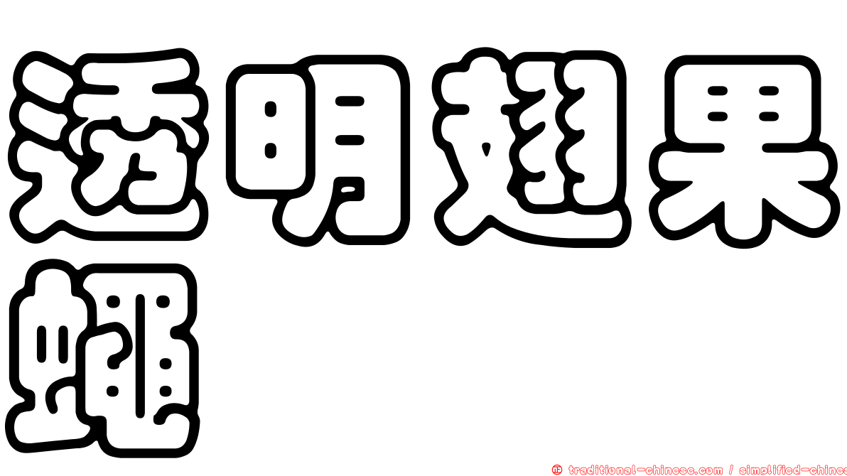 透明翅果蠅