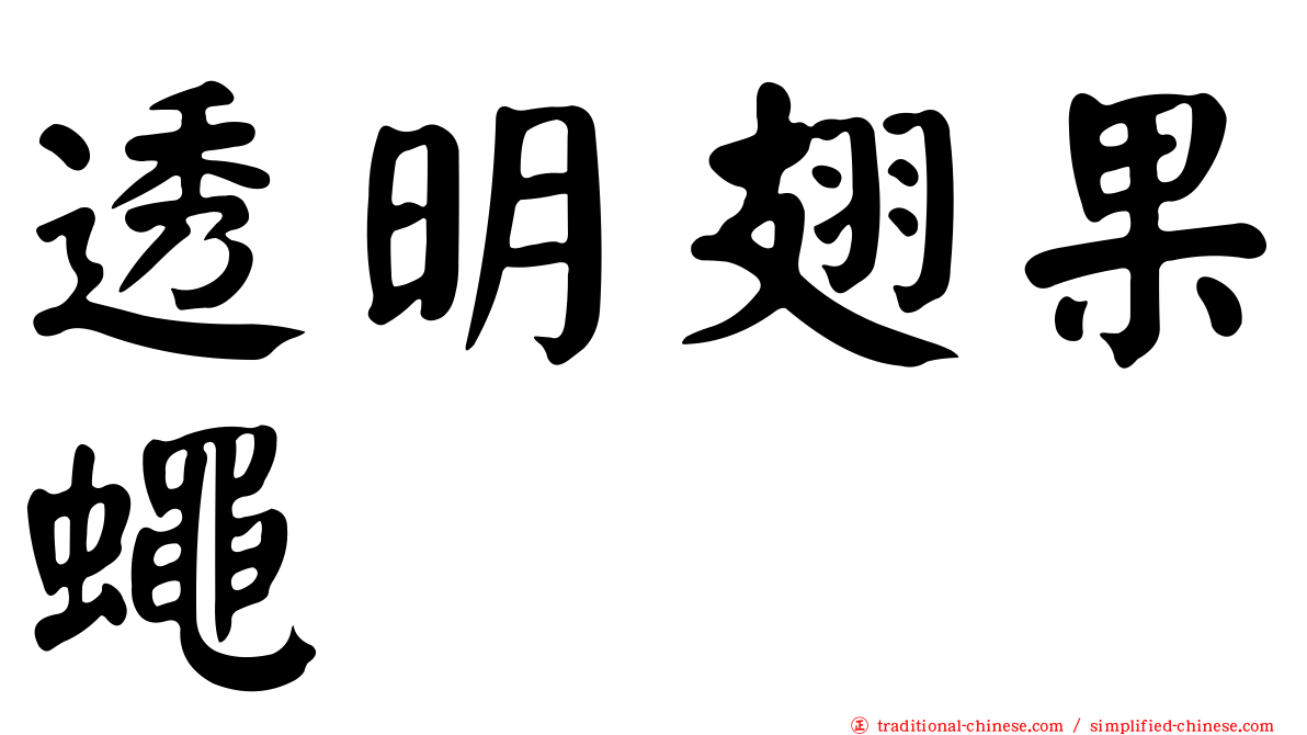 透明翅果蠅