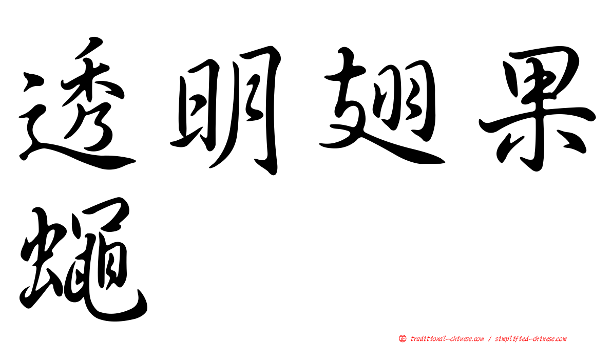 透明翅果蠅