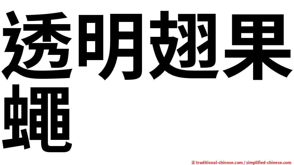 透明翅果蠅