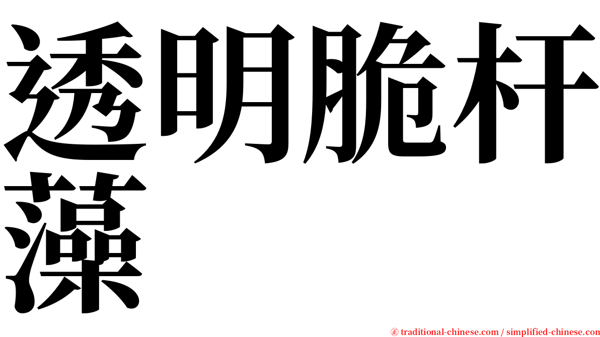 透明脆杆藻 serif font