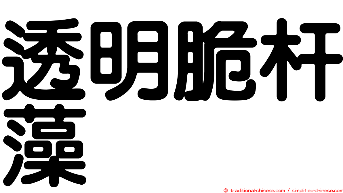 透明脆杆藻