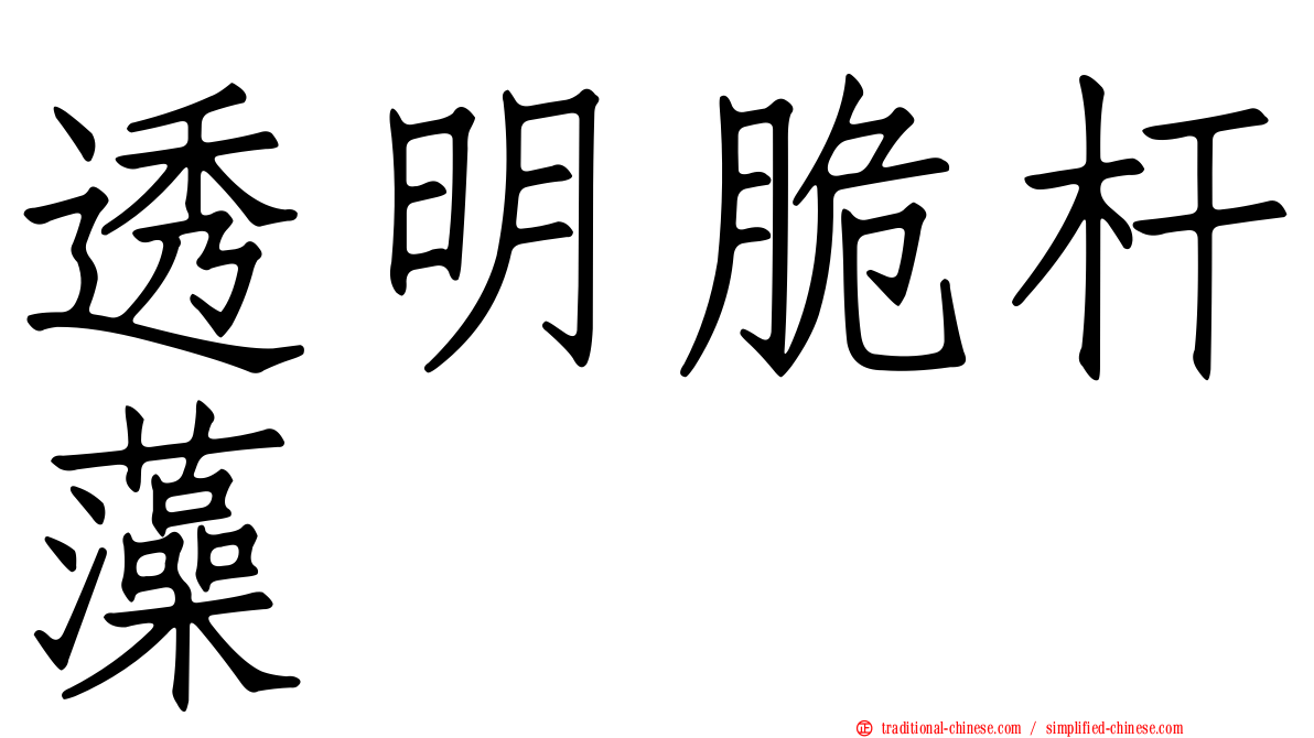 透明脆杆藻