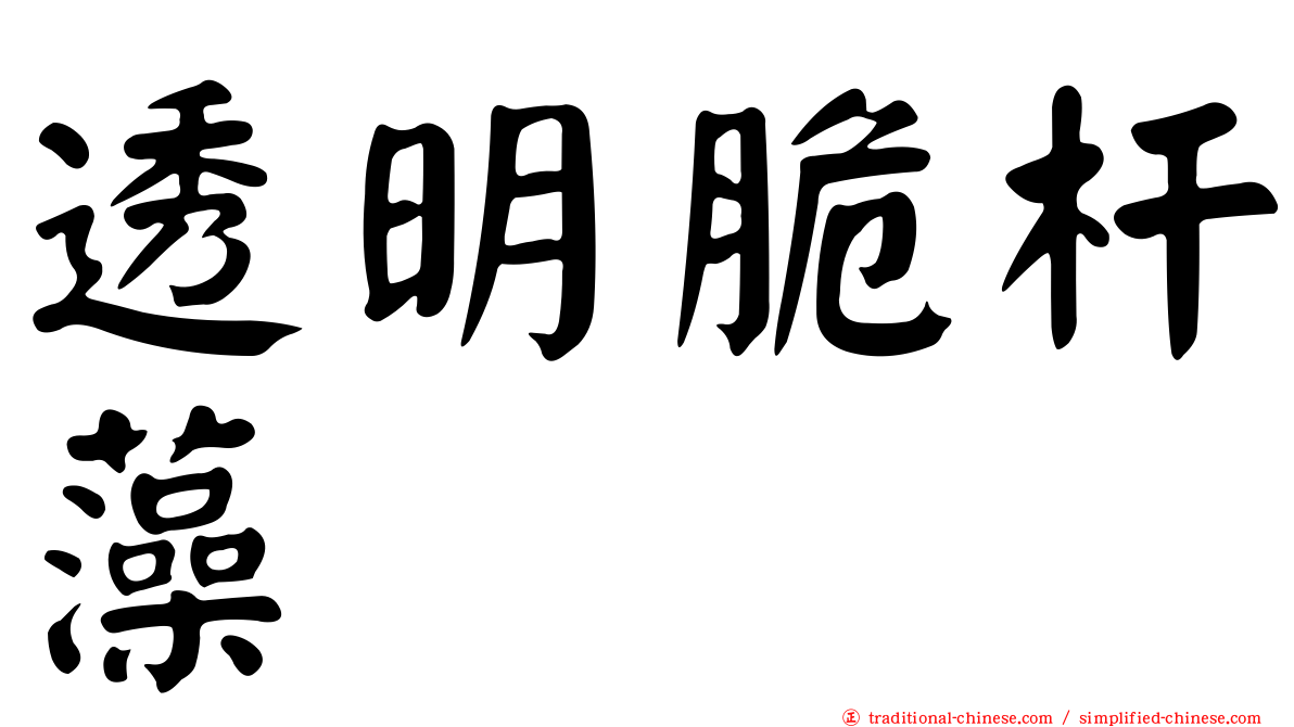 透明脆杆藻