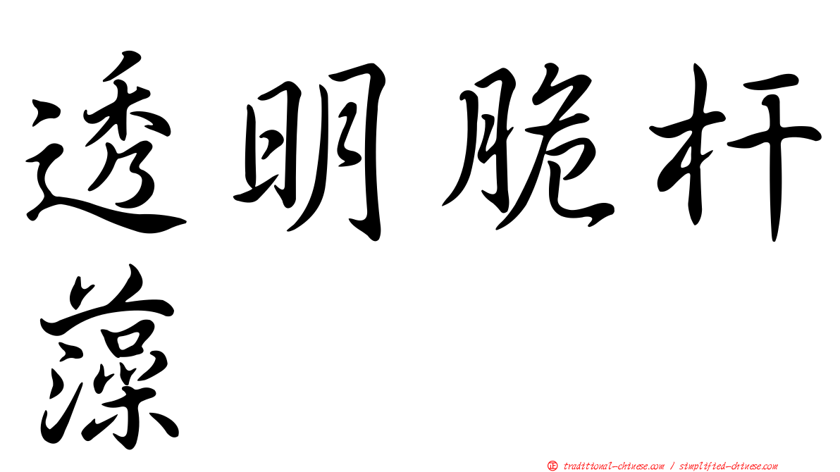 透明脆杆藻