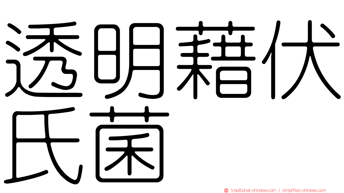 透明藉伏氏菌
