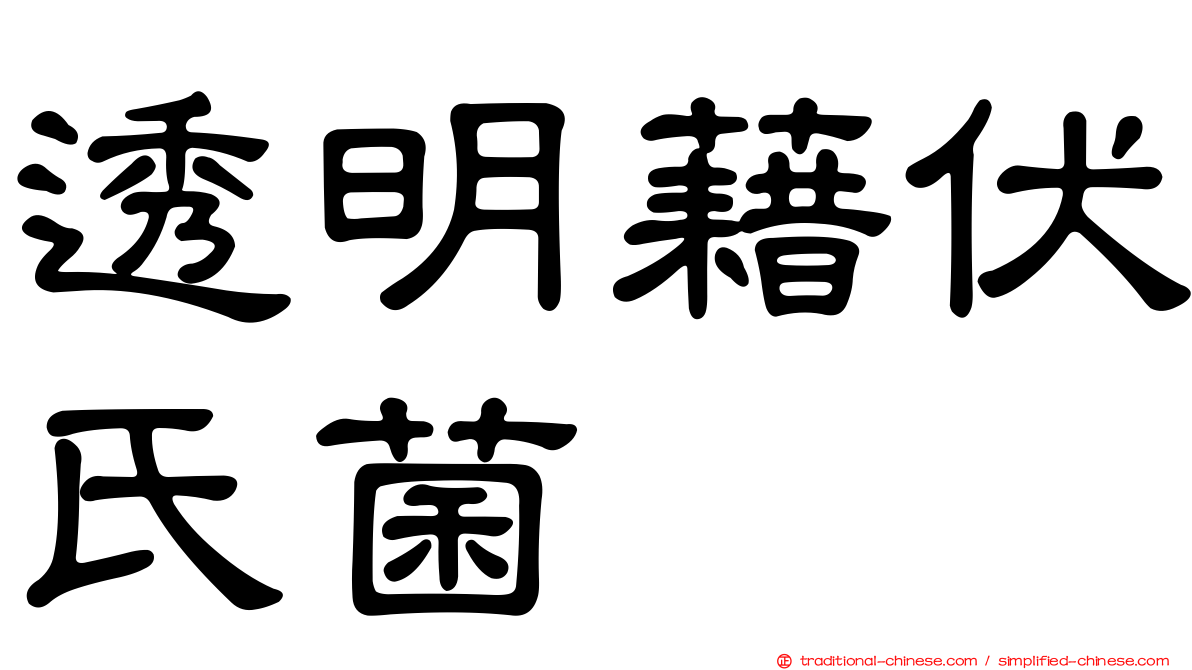 透明藉伏氏菌