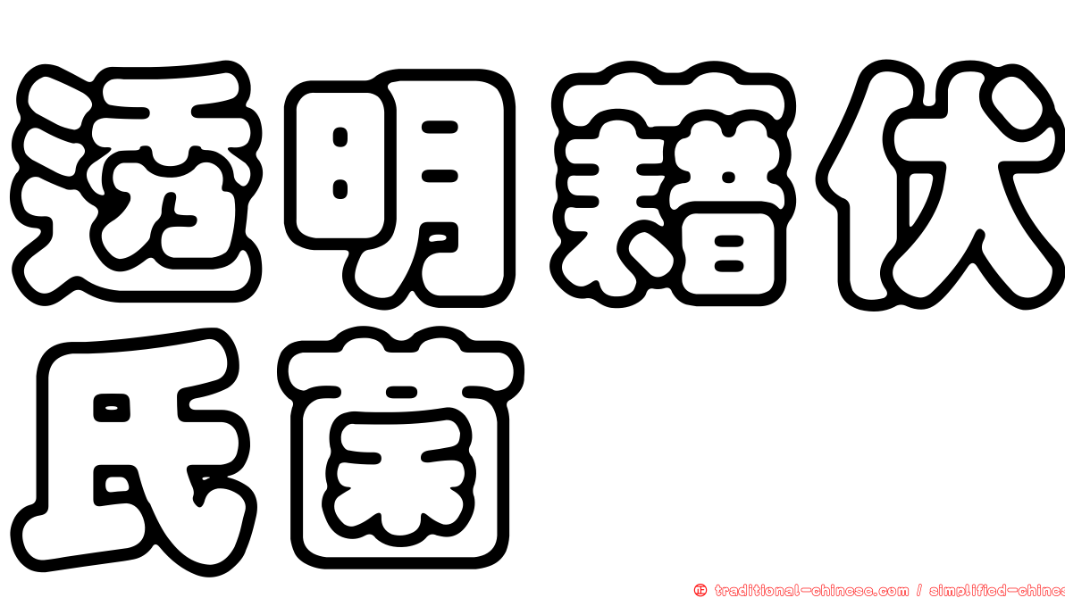 透明藉伏氏菌