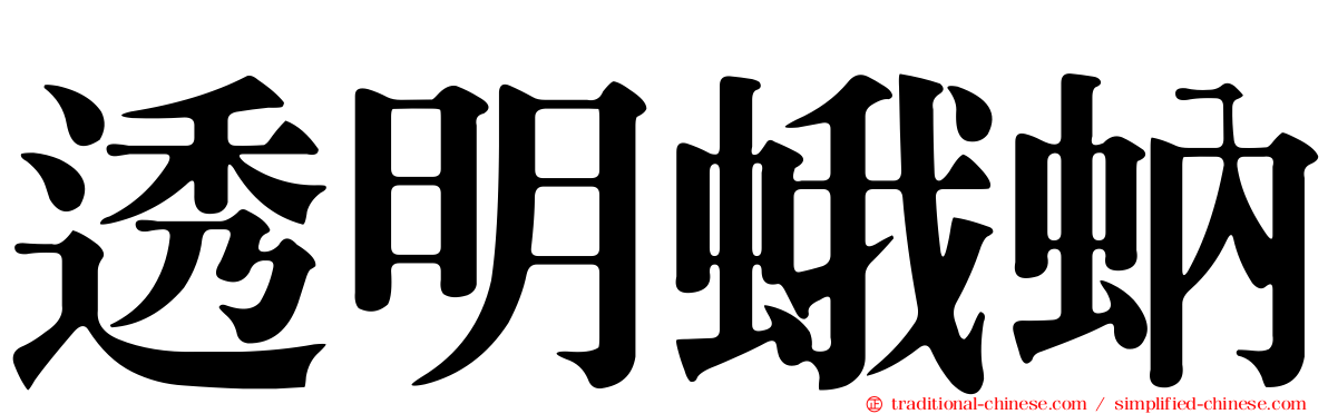 透明蛾蚋