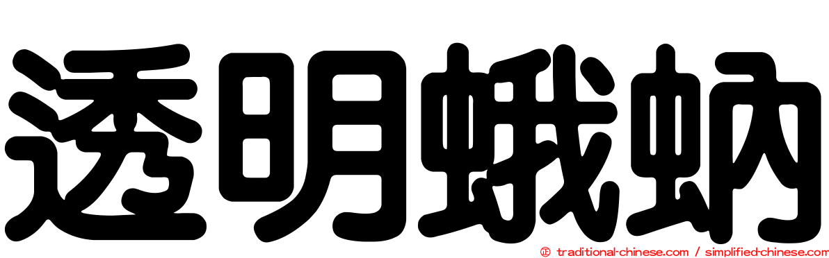 透明蛾蚋