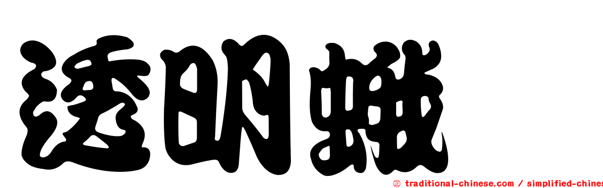 透明蛾蚋
