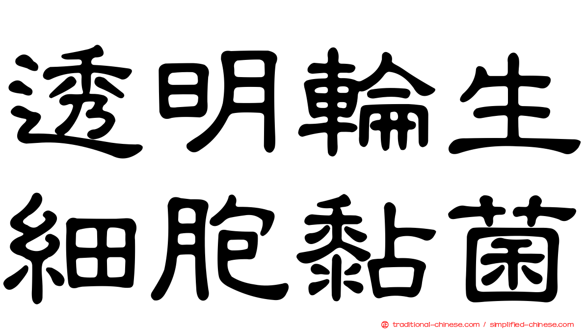 透明輪生細胞黏菌