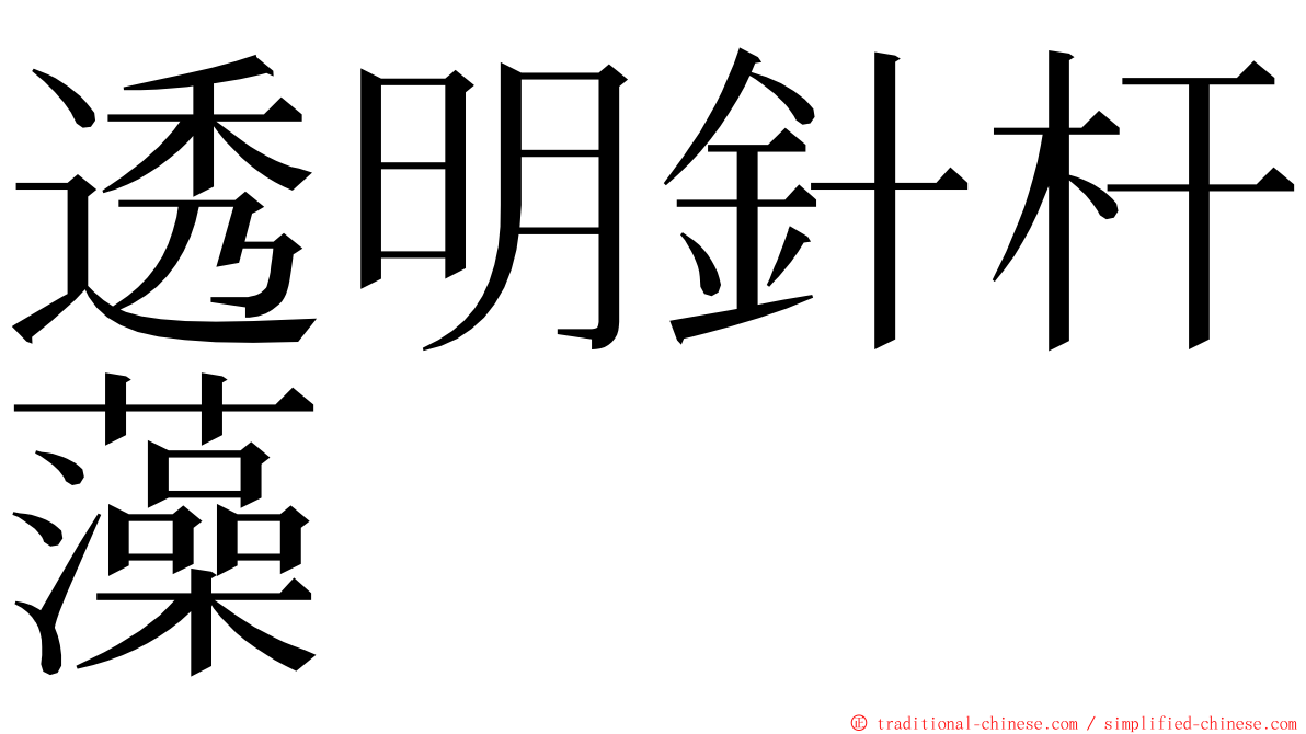 透明針杆藻 ming font