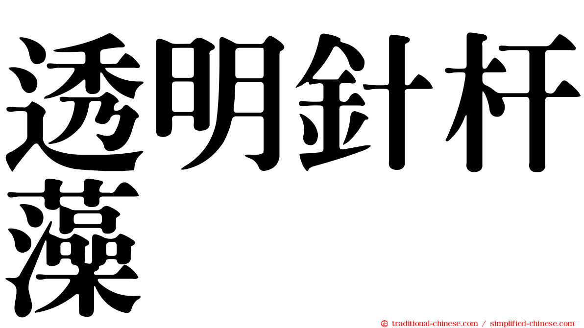 透明針杆藻