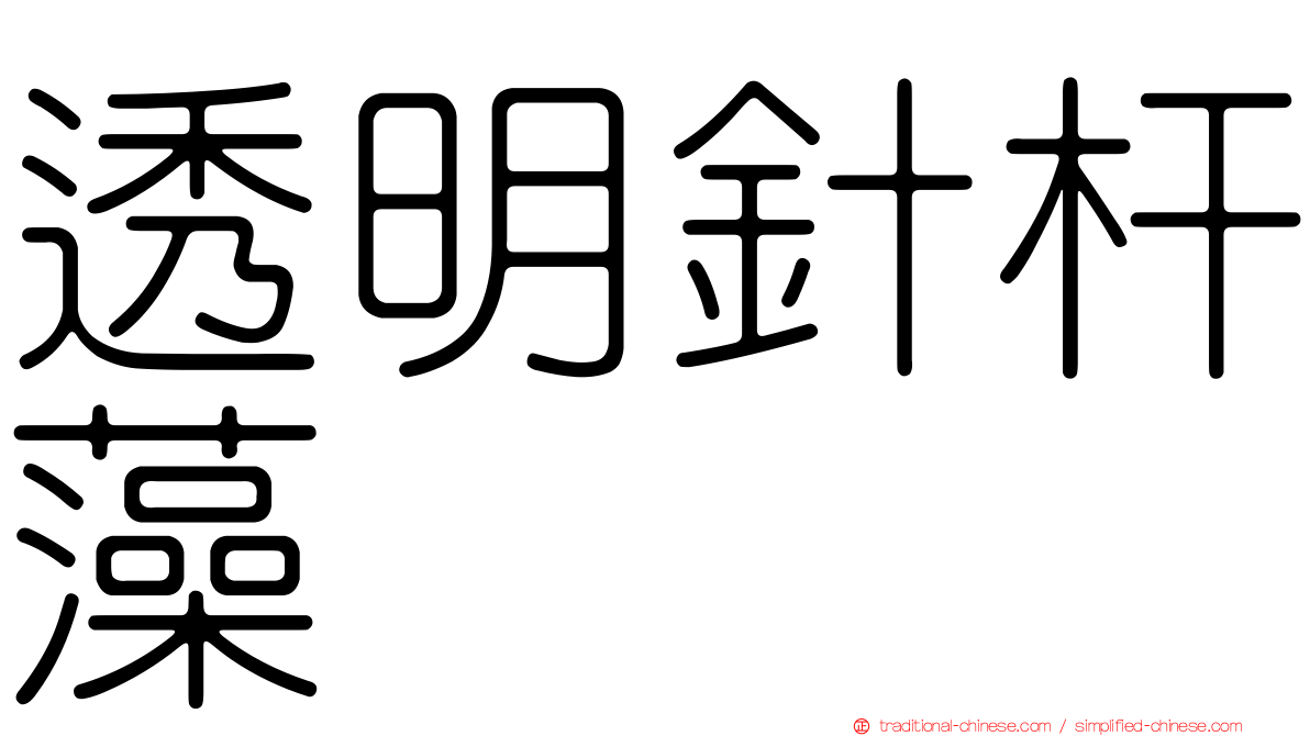 透明針杆藻