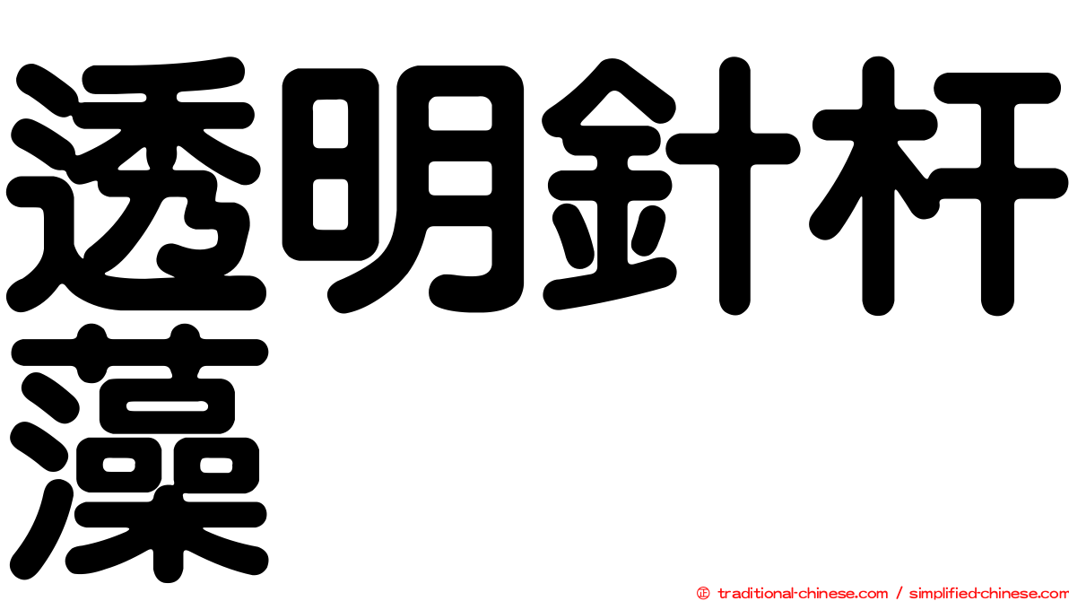透明針杆藻