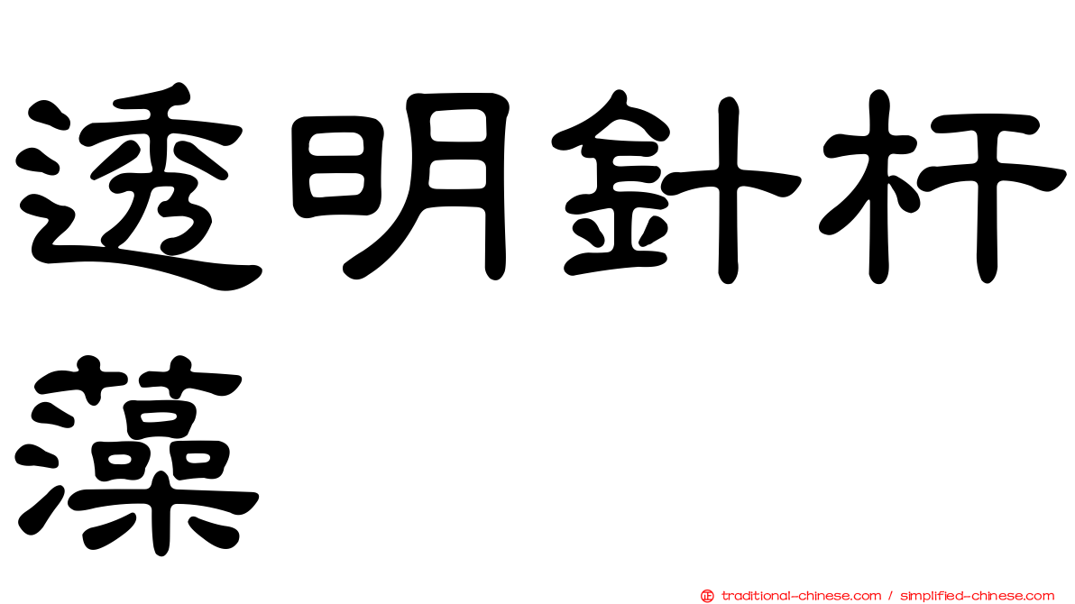 透明針杆藻