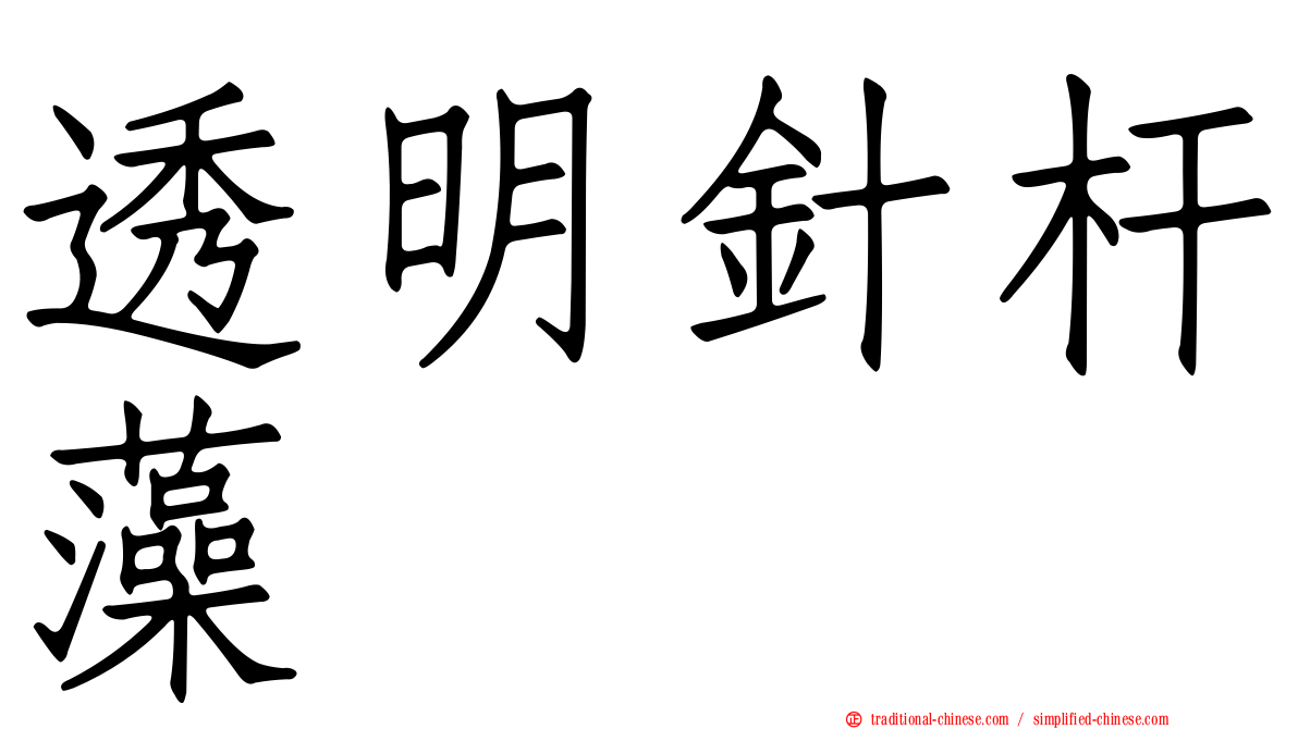 透明針杆藻