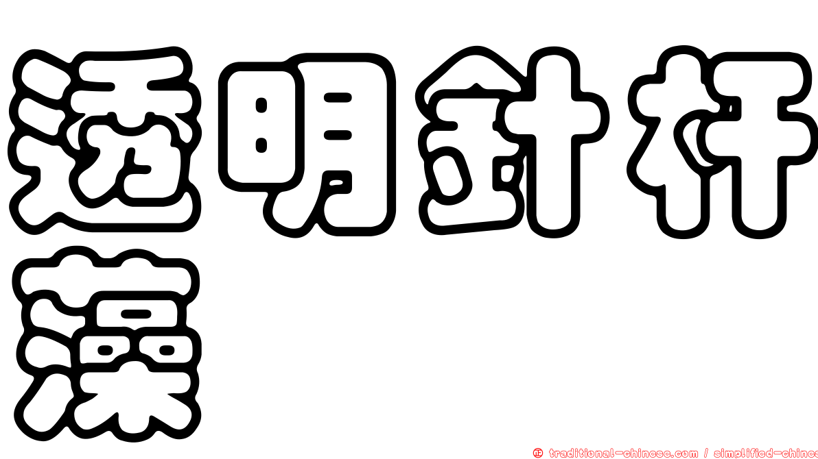 透明針杆藻