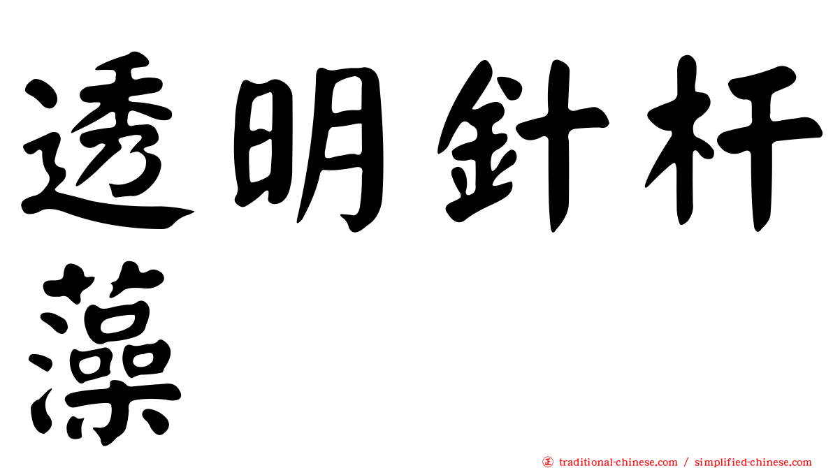 透明針杆藻