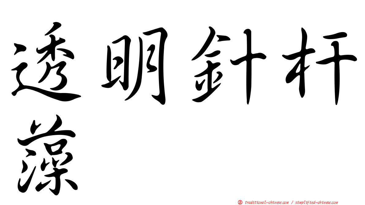 透明針杆藻