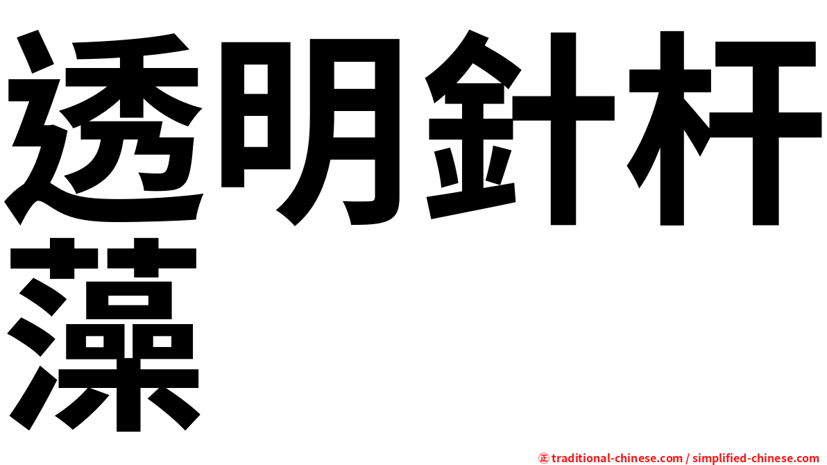 透明針杆藻