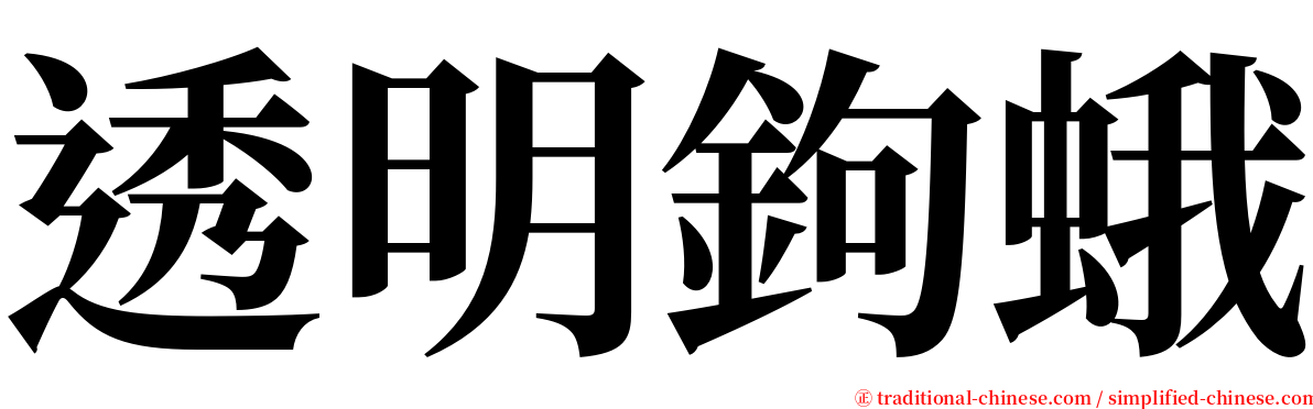 透明鉤蛾 serif font