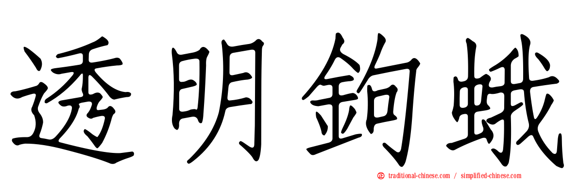 透明鉤蛾