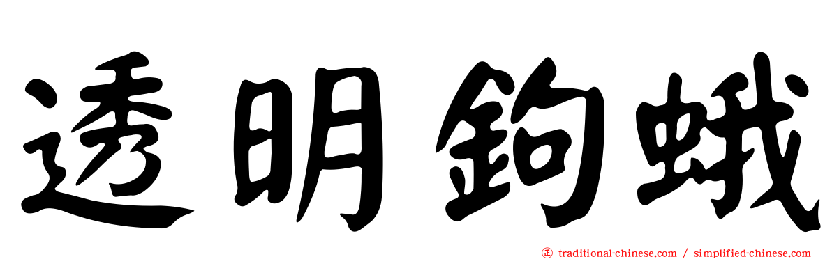 透明鉤蛾
