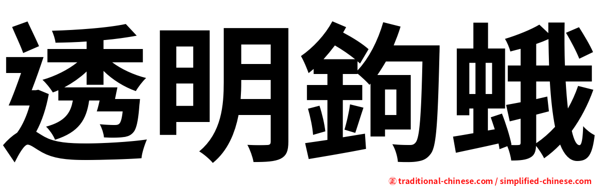 透明鉤蛾