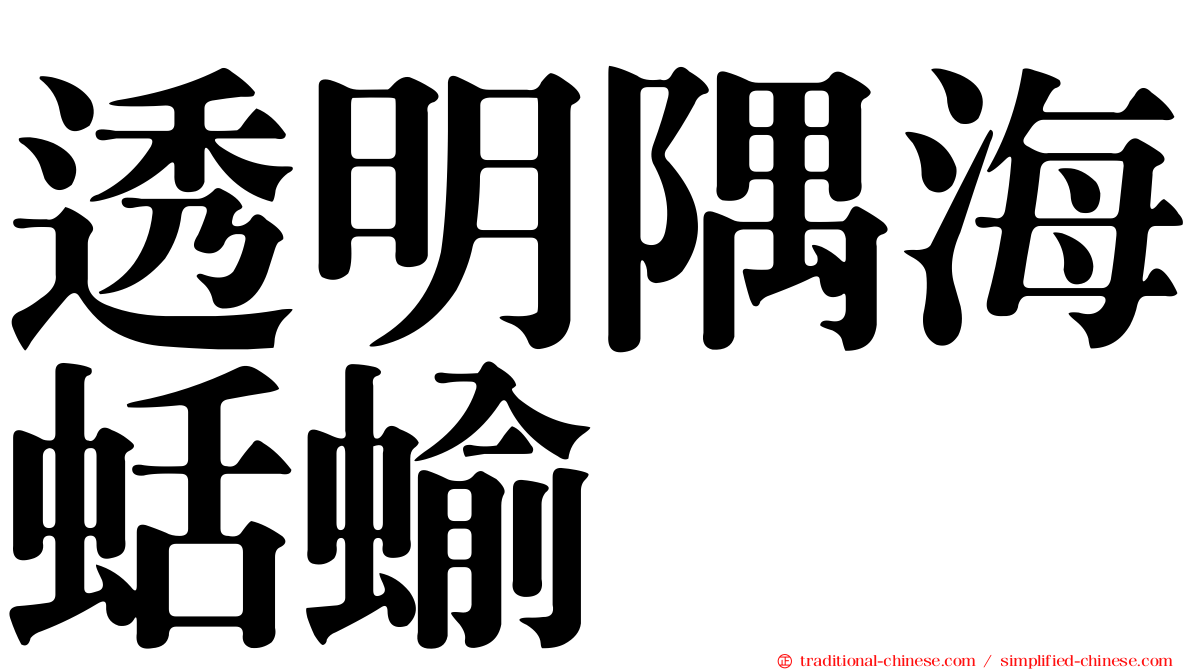透明隅海蛞蝓