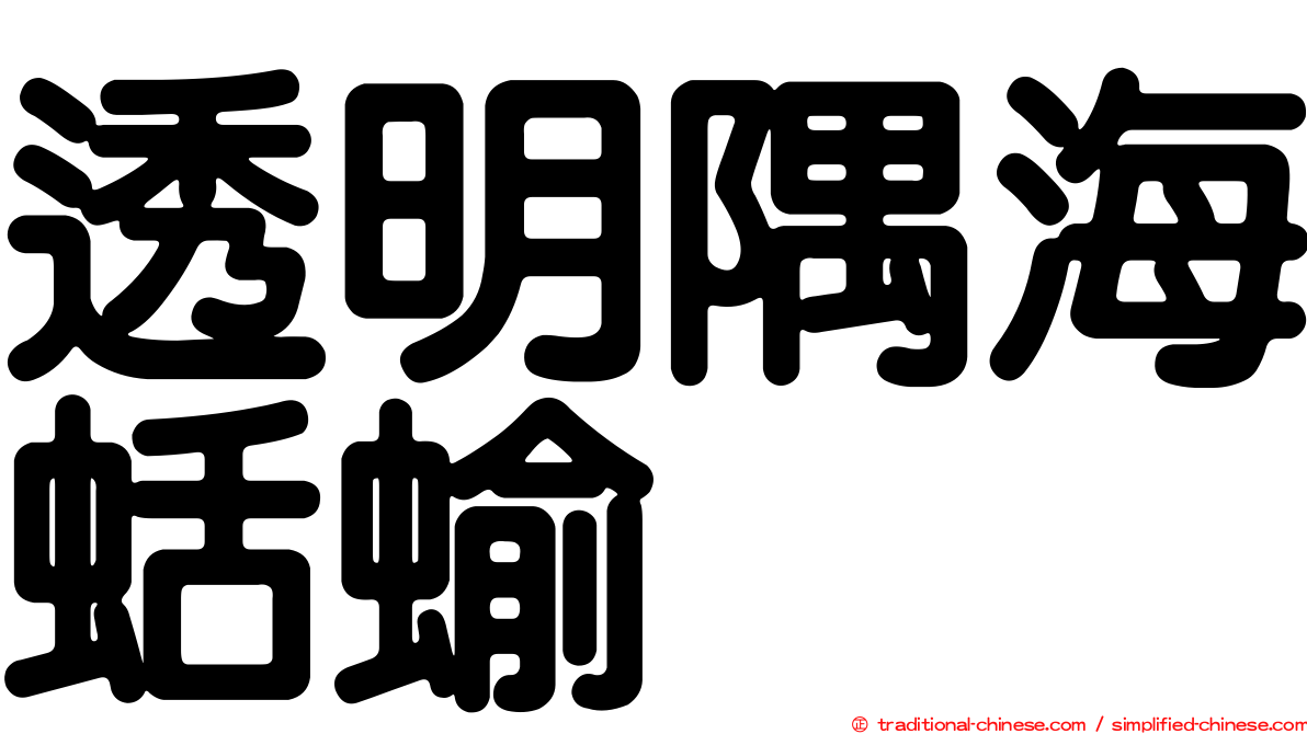 透明隅海蛞蝓