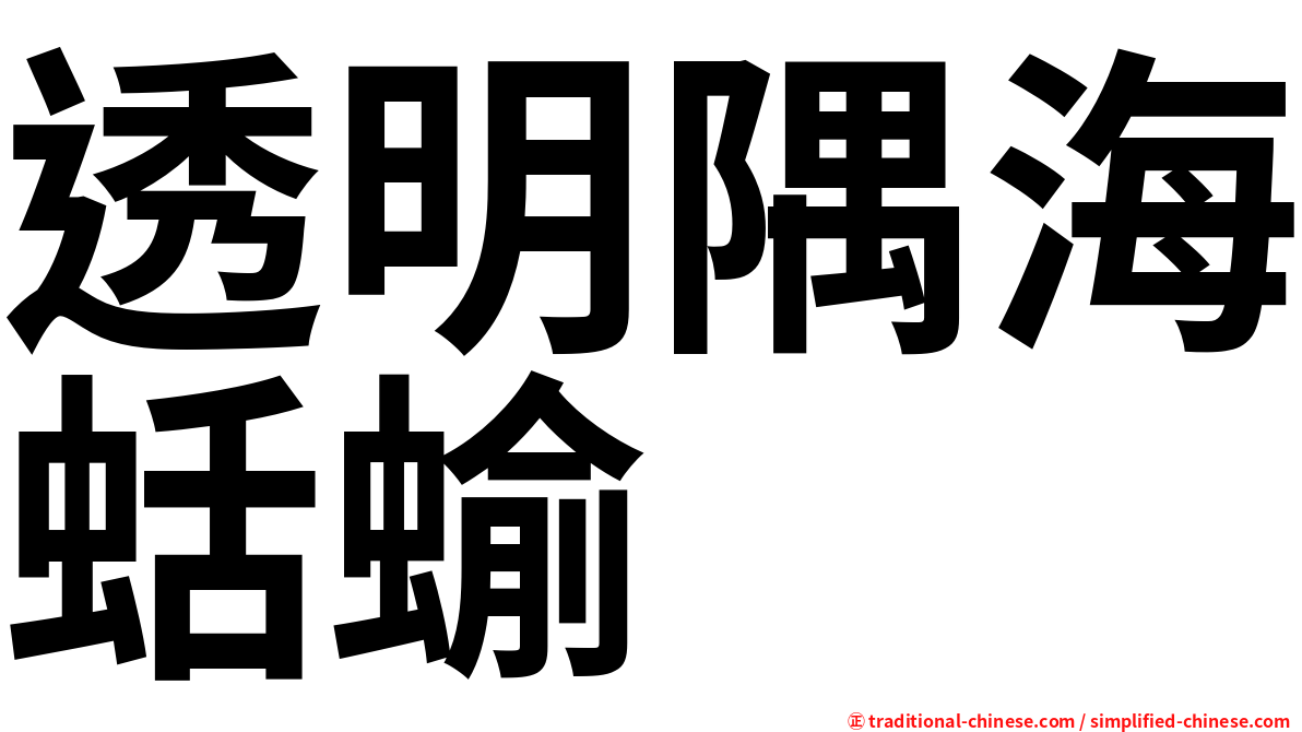 透明隅海蛞蝓