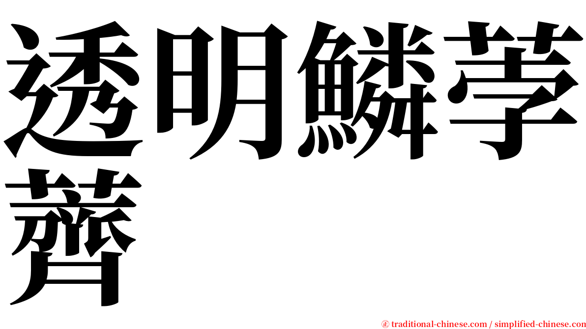 透明鱗荸薺 serif font
