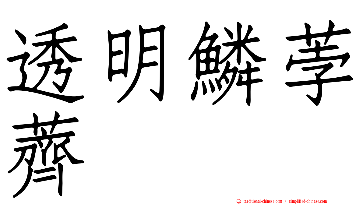 透明鱗荸薺