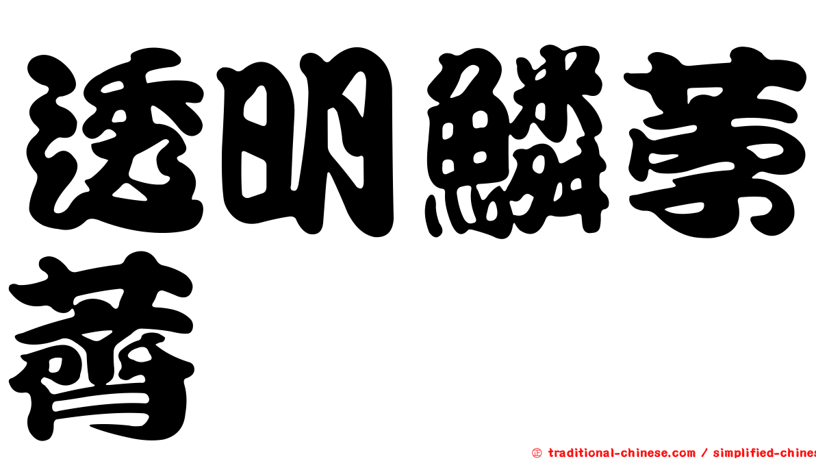 透明鱗荸薺