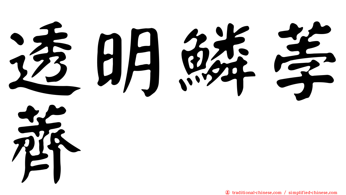 透明鱗荸薺
