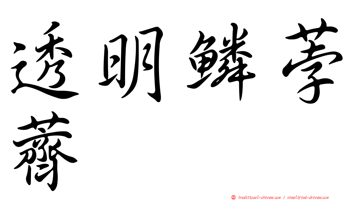 透明鱗荸薺