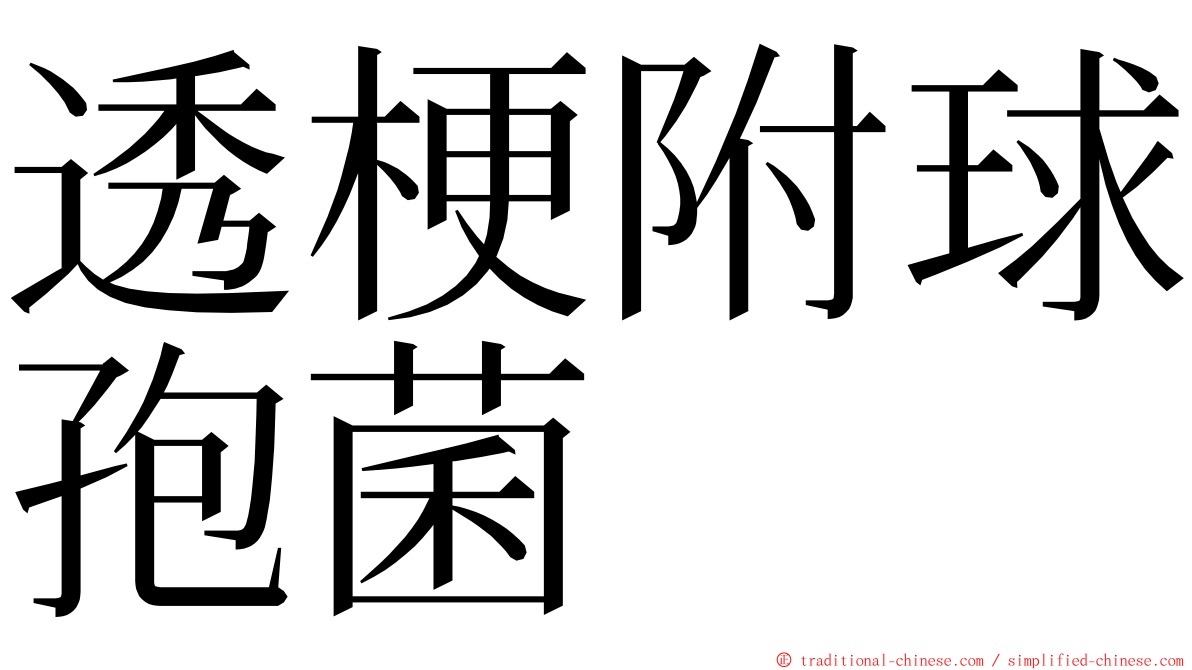 透梗附球孢菌 ming font